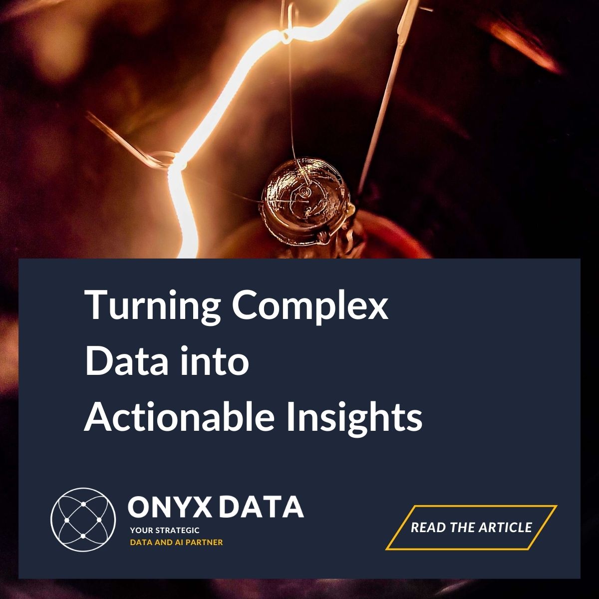 Turning Complex Data into Actionable Insights